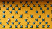 backgrounds