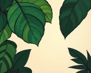 backgrounds