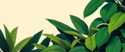backgrounds