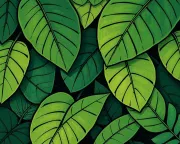 backgrounds