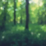 backgrounds