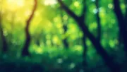 backgrounds