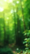 backgrounds