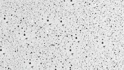 backgrounds