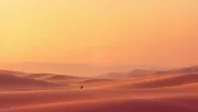 backgrounds