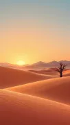 backgrounds