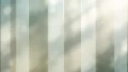 backgrounds