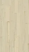 backgrounds