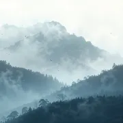 backgrounds