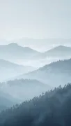 backgrounds