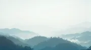 backgrounds