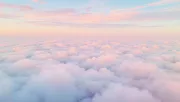 backgrounds