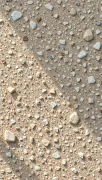 backgrounds