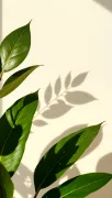 backgrounds