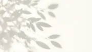 backgrounds
