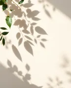 backgrounds