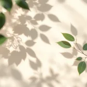 backgrounds