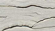 backgrounds