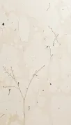 backgrounds