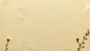 backgrounds