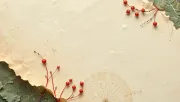 backgrounds