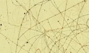 backgrounds