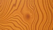backgrounds
