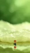 backgrounds