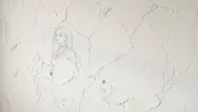 backgrounds