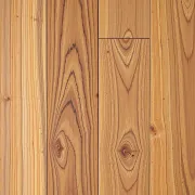 backgrounds