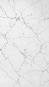 backgrounds