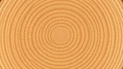 backgrounds