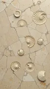 backgrounds
