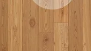backgrounds