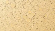 backgrounds