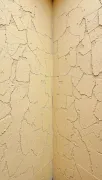 backgrounds