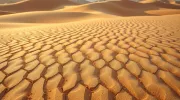 backgrounds