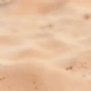 backgrounds