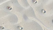 backgrounds