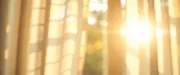 backgrounds