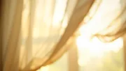 backgrounds