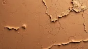 backgrounds