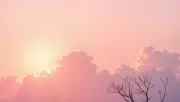 backgrounds