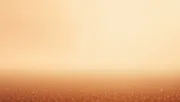 backgrounds