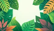 backgrounds