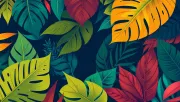 backgrounds