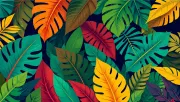 backgrounds