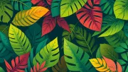 backgrounds