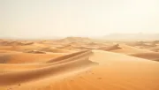 backgrounds