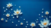 backgrounds